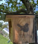 ein Bild aus dem Album